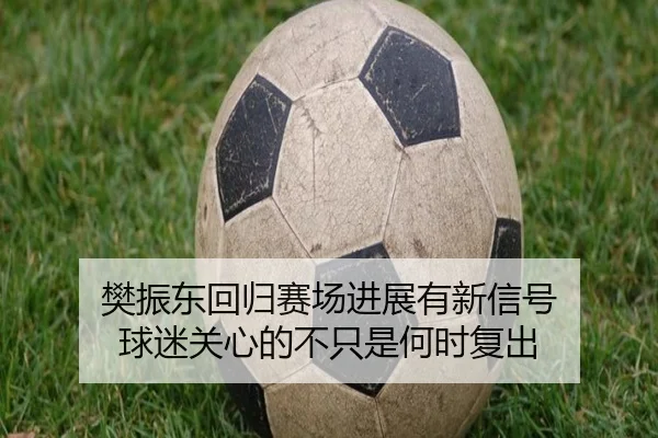 樊振东回归赛场进展有新信号 球迷关心的不只是何时复出 | zhongchaozhibo